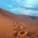 NAM HAR Dune45 2016NOV21 045 : 2016 - African Adventures, Hardap, Namibia, Southern, Africa, Dune 45, 2016, November